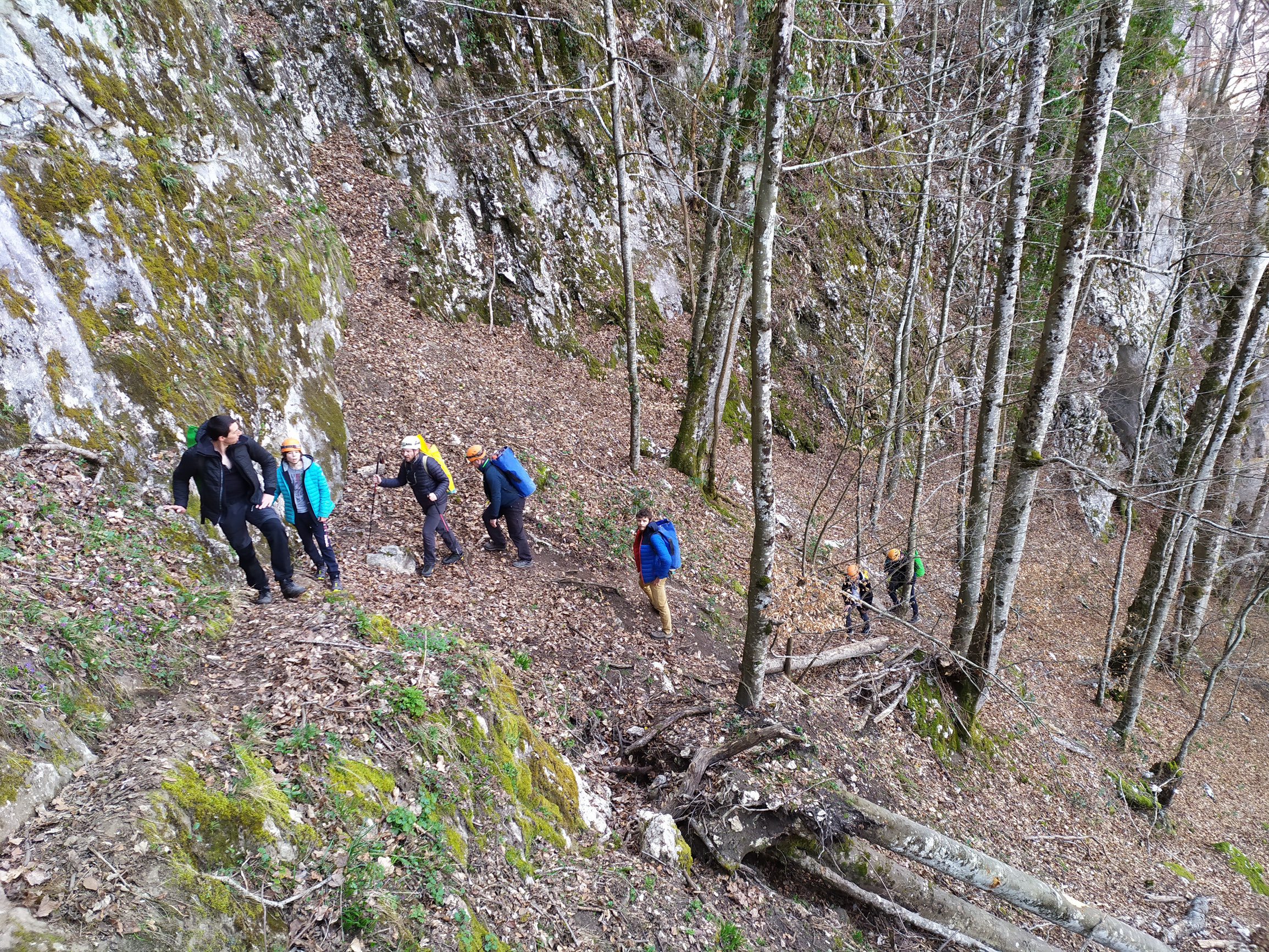 La marche d'approche dans les bois