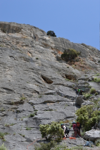 Dentelles de Montmirail - Mai 2015