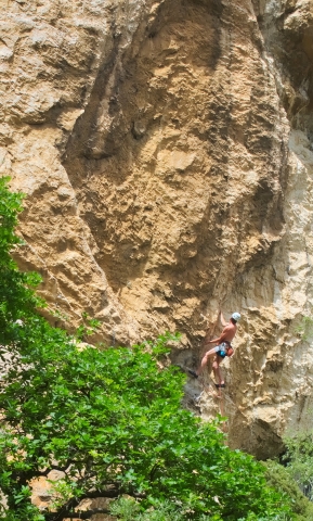 Dentelles de Montmirail - Mai 2015