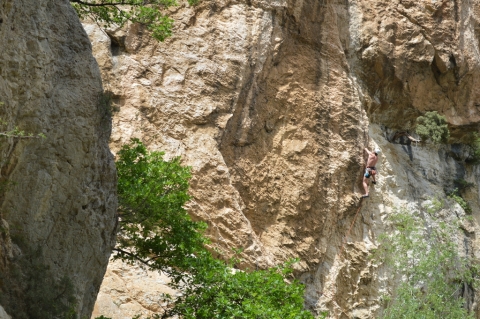 Dentelles de Montmirail - Mai 2015